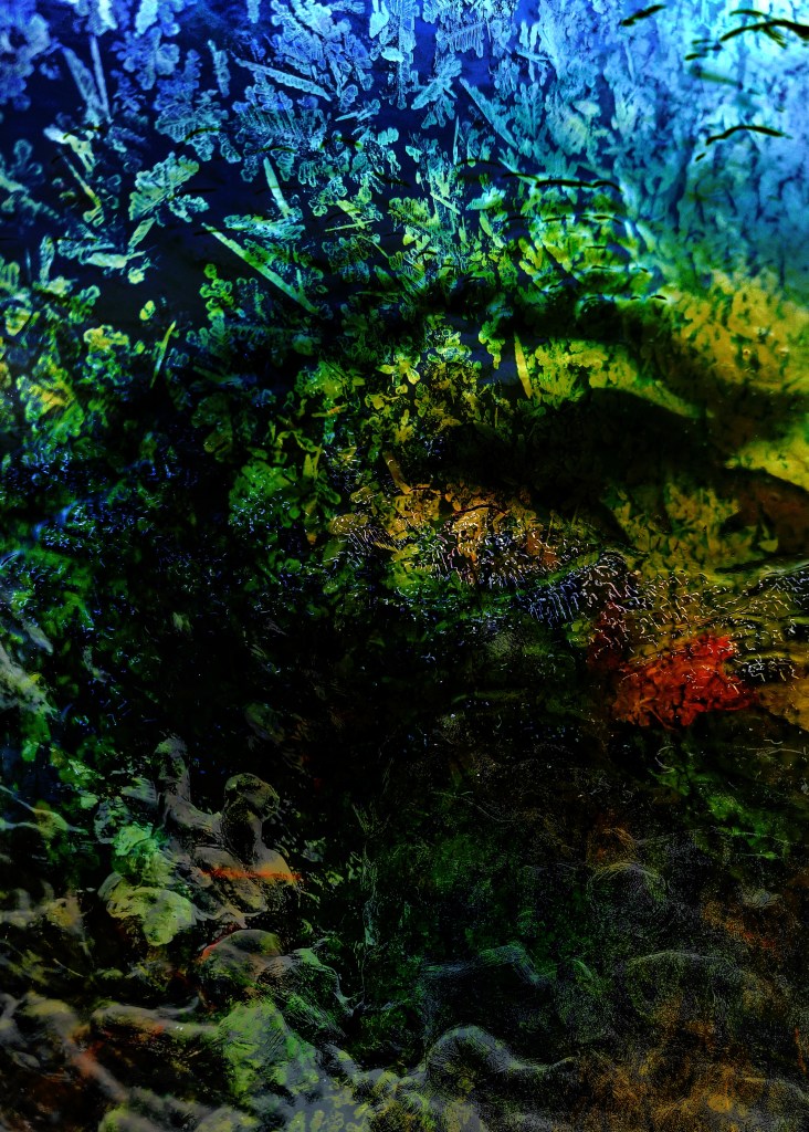 Kaleidoscope Frost by Ruthenium